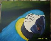 Arara
