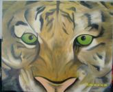 Tigre