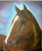 Cavalo 01